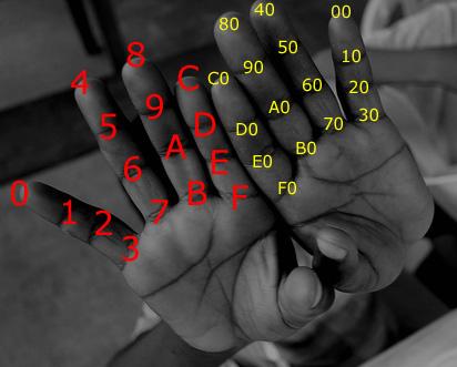 Use of Hexadecimal Numbers in Computer Science